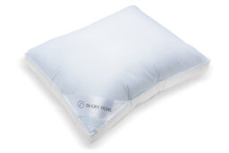 Ducky Dons 3-chamber pillow
