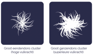 duck-down-cluster-goose-down-cluster