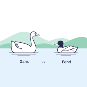 Goose down vs duck down