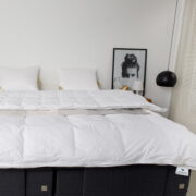 4-seizoenen-eendendons-dekbed-kamer-2