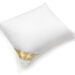 Combo Deal: Duvet doré 100% ganzendons